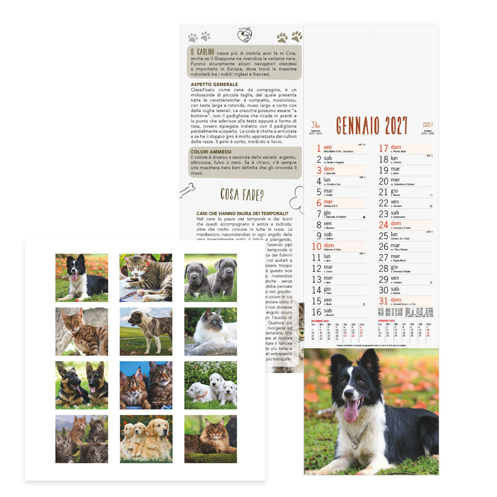 CALENDARIO CANI E GATTI