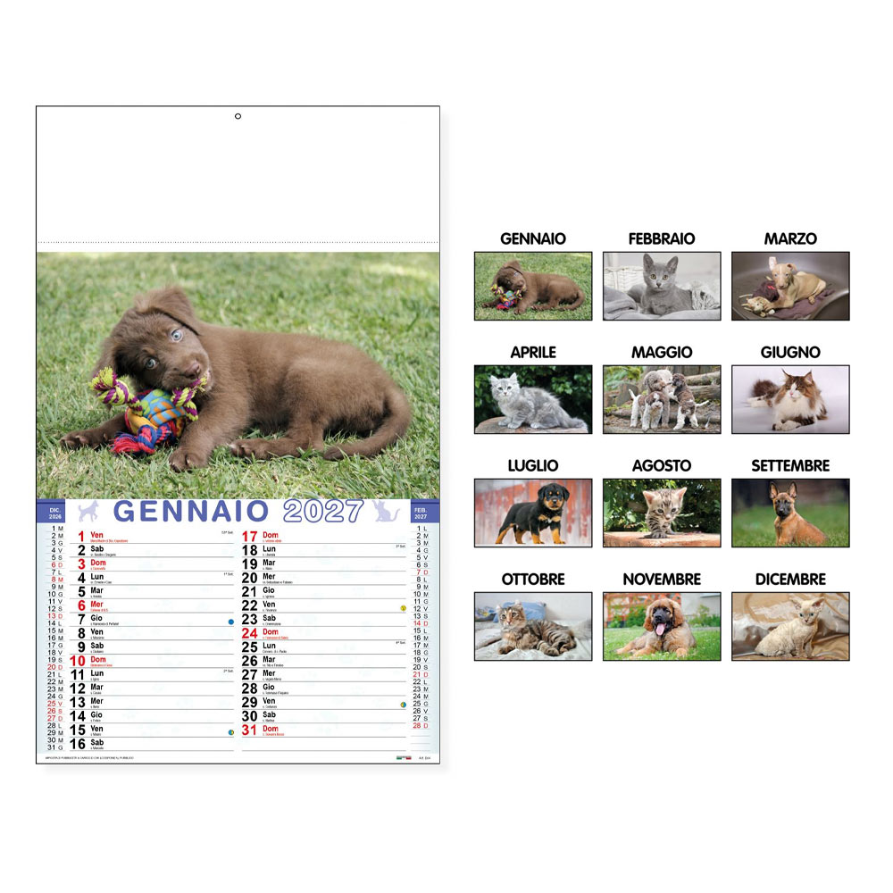 CALENDARIO CANI & GATTI