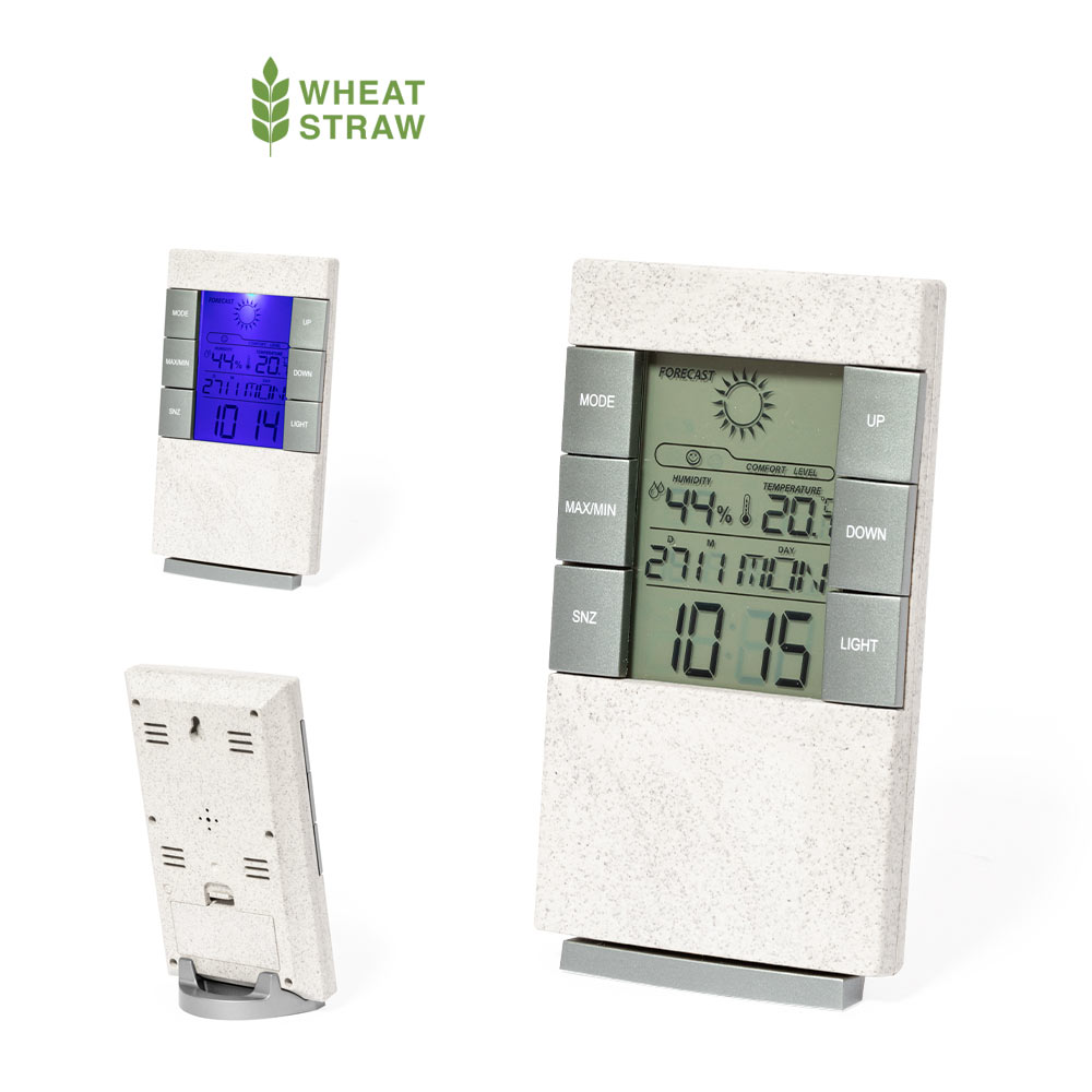 STAZIONE METEOROLOGICA MAGINLY